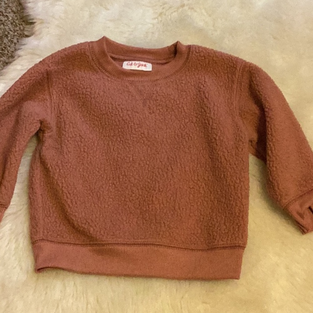 Cat &jack sweater 12m